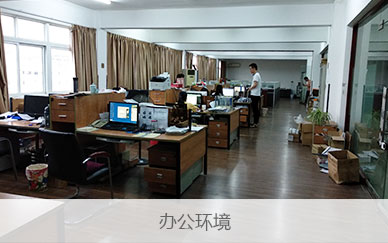 公司簡介